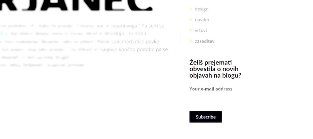 mitja-skrjanec-subscribe